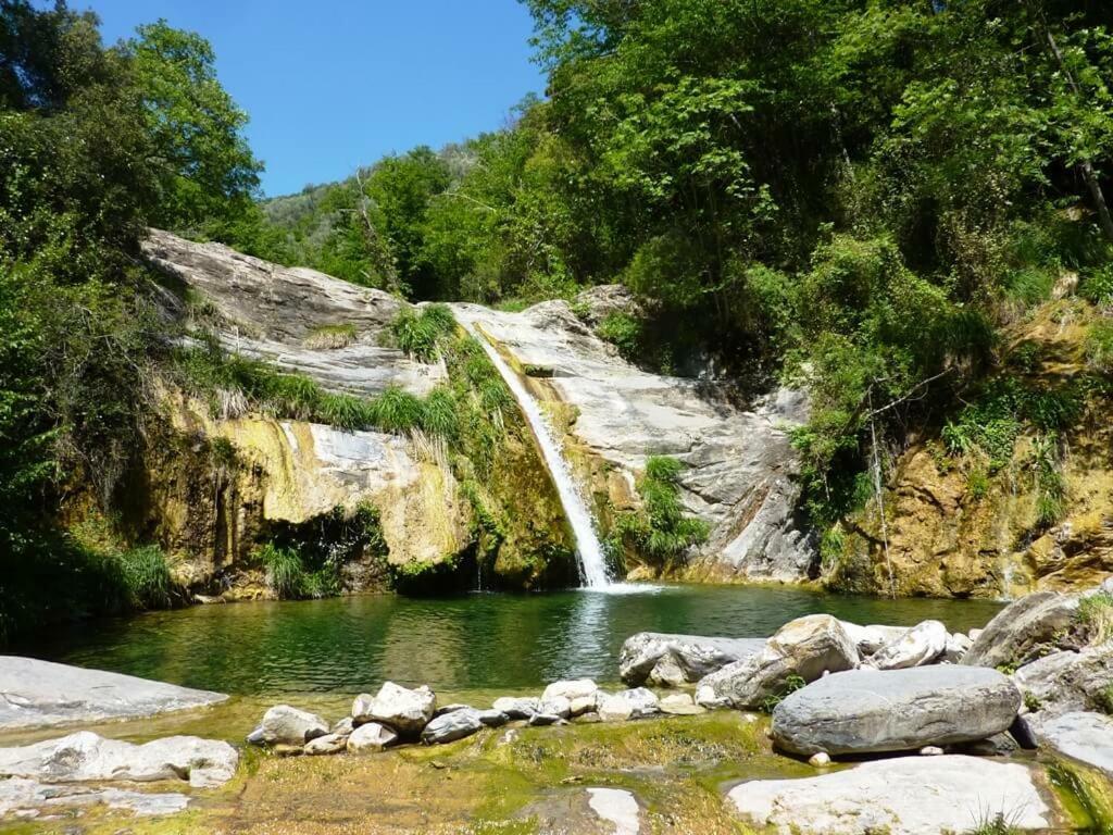 Pietrabruna Casa Dalia 빌라 외부 사진