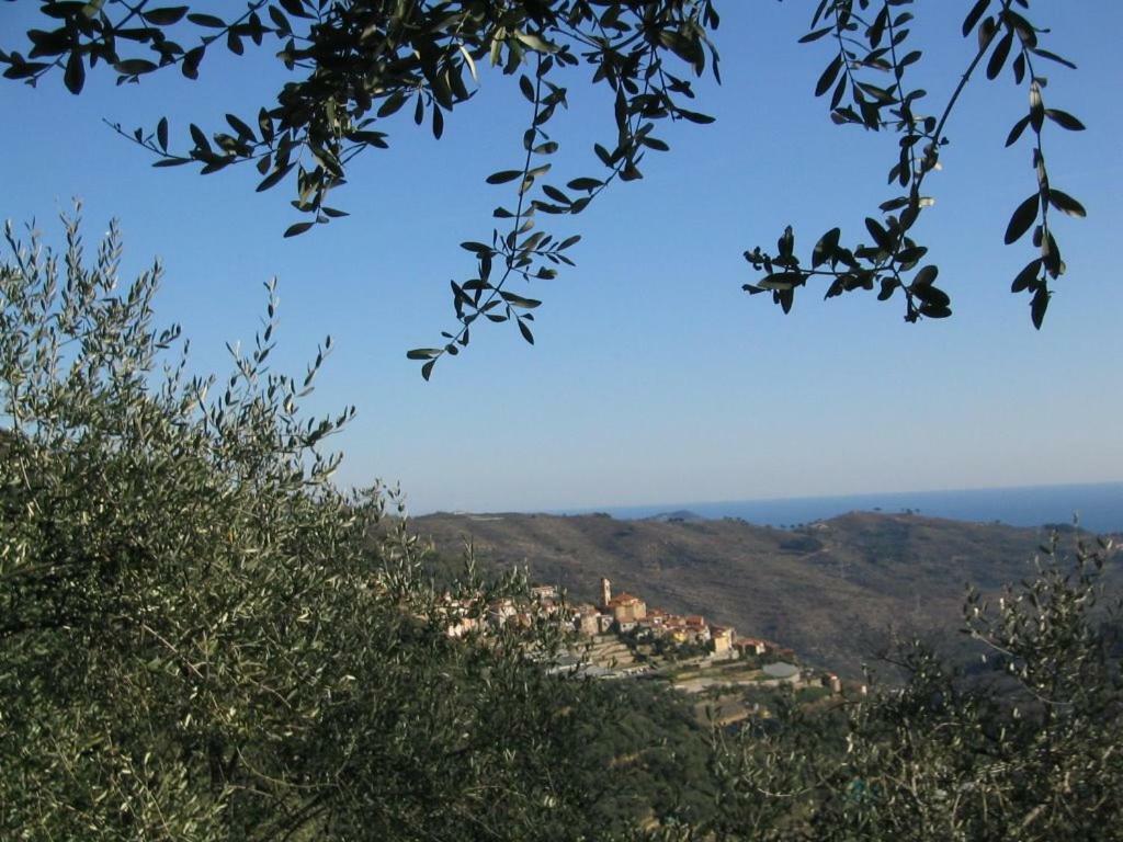 Pietrabruna Casa Dalia 빌라 외부 사진